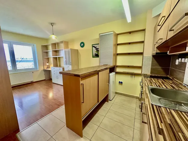 Pronájem bytu 1+kk, Brno, Bednaříkova, 31 m2