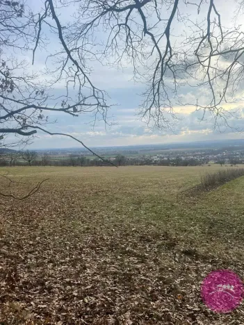 Prodej louky, Bělkovice-Lašťany, 27123 m2