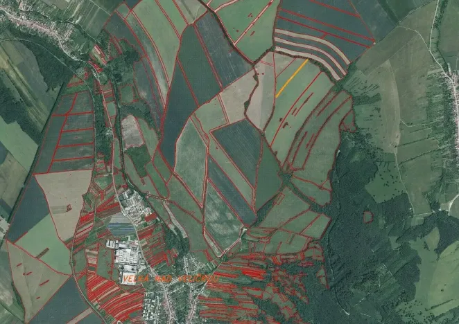 Prodej pole, Velká nad Veličkou, 4153 m2