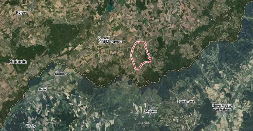 Prodej pole, Velká nad Veličkou, 4153 m2