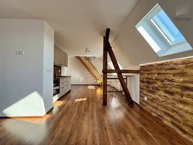 Pronájem bytu 2+kk, Brno, Mahenova, 50 m2