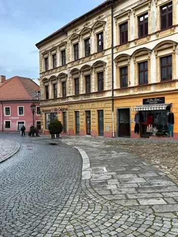 Pronájem obchodního prostoru, Písek, Bakaláře, 60 m2