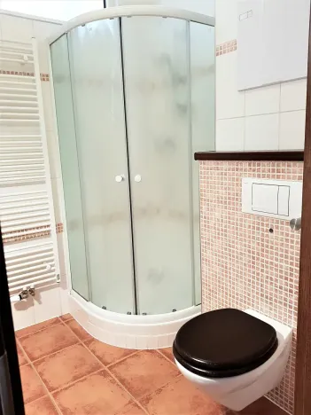 Pronájem bytu 1+kk, České Budějovice, Tylova, 39 m2