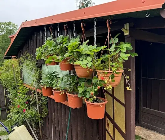 Prodej bytu 2+1, Smržovka, Hlavní, 83 m2