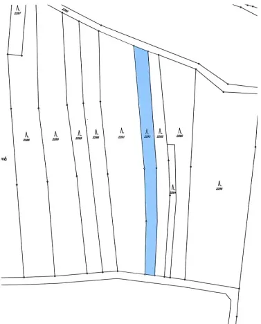 Prodej lesa, Ochoz, 1833 m2