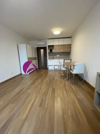 Pronájem bytu 1+kk, Olomouc, Edmunda Husserla, 30 m2