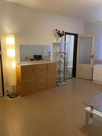 Pronájem bytu 3+1, Olomouc, Fischerova, 70 m2