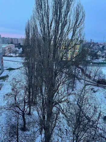 Pronájem bytu 3+1, Olomouc, Fischerova, 70 m2