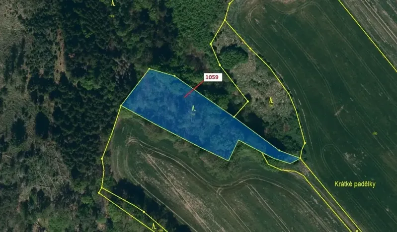 Dražba lesa, Náměšť nad Oslavou, 3646 m2