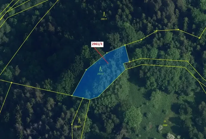 Dražba lesa, Český Dub, 1217 m2