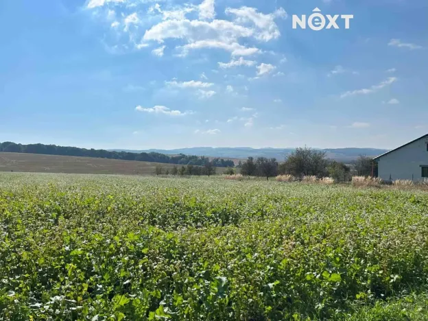 Prodej pozemku pro bydlení, Bařice-Velké Těšany, 962 m2