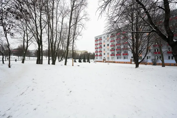 Prodej bytu 1+1, Brno, Svatopluka Čecha, 40 m2