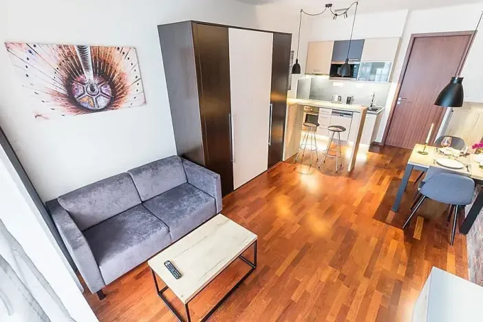Pronájem bytu 1+kk, Praha - Nusle, Sekaninova, 31 m2