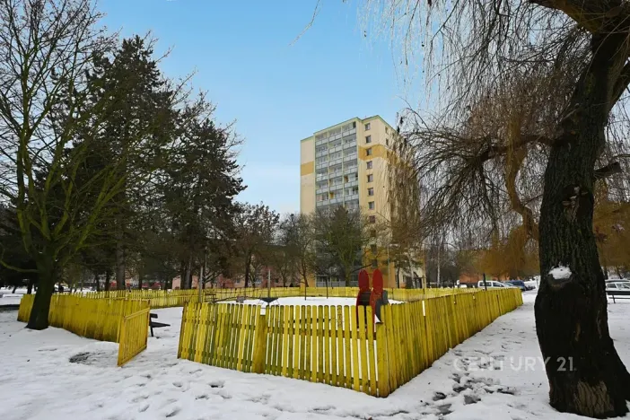 Pronájem bytu 2+1, Bílina, Sídliště Za Chlumem, 35 m2