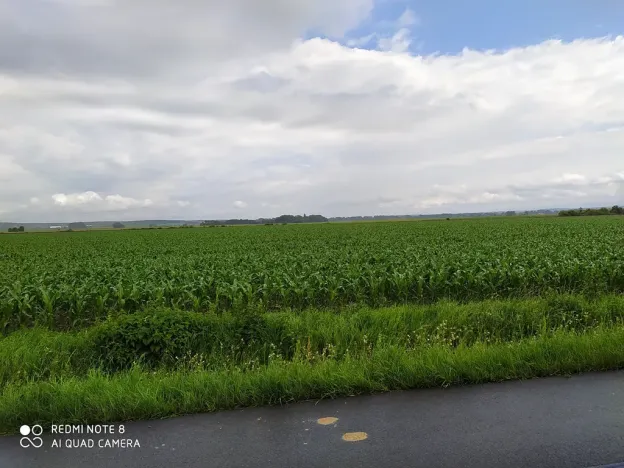 Prodej pozemku pro bydlení, Dolní Ředice, 12434 m2