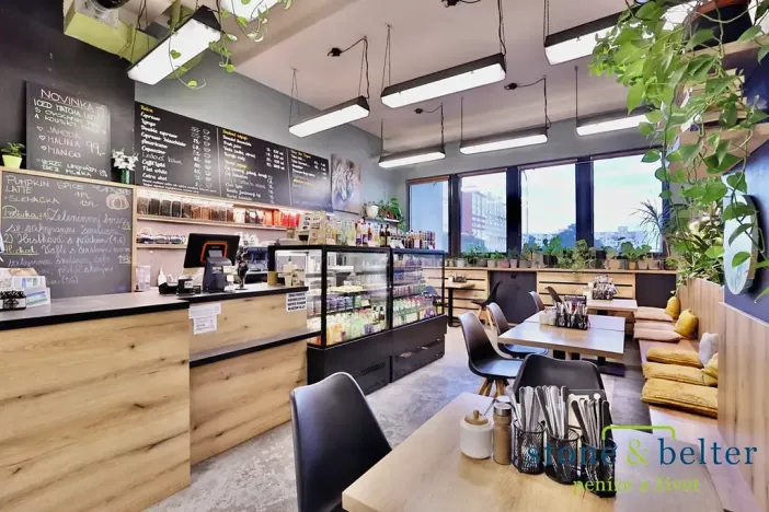 Prodej obchodního prostoru, Praha - Troja, Lodžská, 254 m2