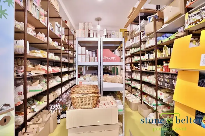 Prodej obchodního prostoru, Praha - Troja, Lodžská, 254 m2