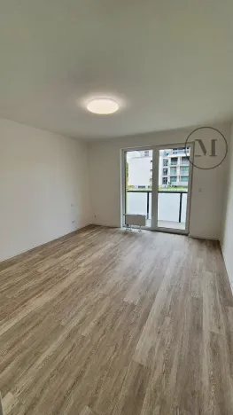 Pronájem bytu 2+kk, České Budějovice, Branišovská, 67 m2