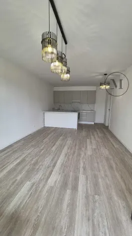 Pronájem bytu 2+kk, České Budějovice, Branišovská, 67 m2
