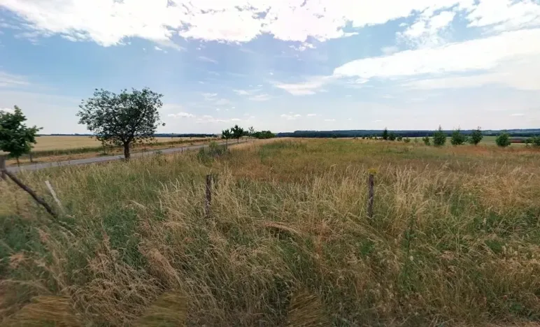 Prodej pozemku, Maršov, 31902 m2