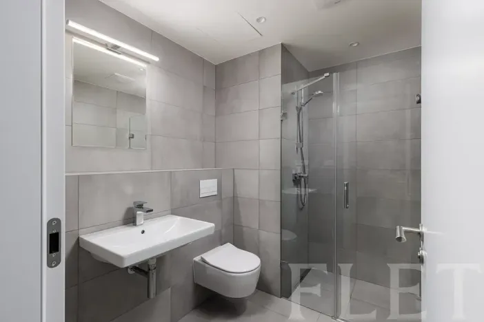 Pronájem bytu 2+kk, Praha - Holešovice, U průhonu, 48 m2