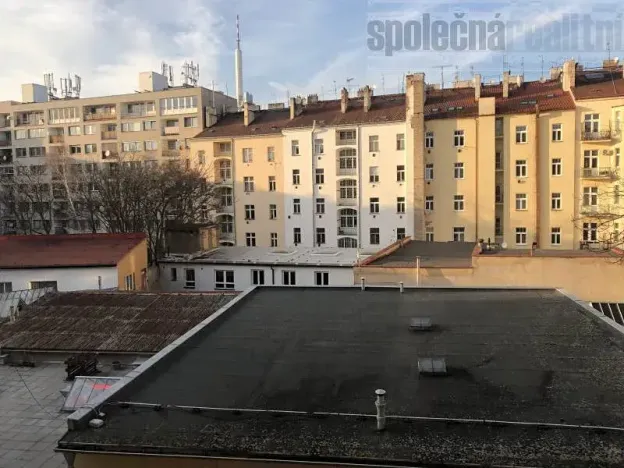 Pronájem bytu 1+kk, Praha - Vinohrady, Slezská, 30 m2