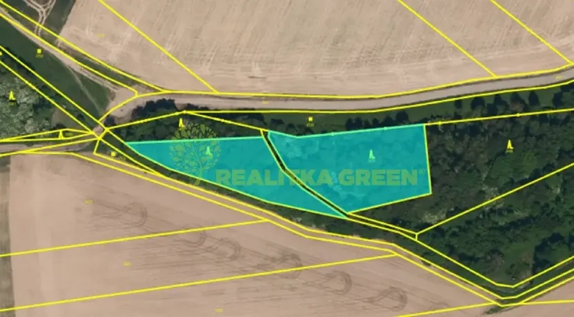 Prodej lesa, Jistebník, 5452 m2