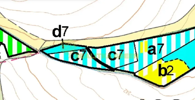 Prodej lesa, Jistebník, 5452 m2