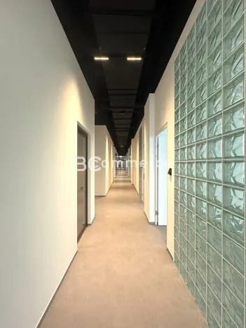 Pronájem kanceláře, Brno, Purkyňova, 50 m2