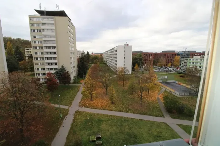 Pronájem bytu 1+kk, Praha - Karlín, Nekvasilova, 28 m2