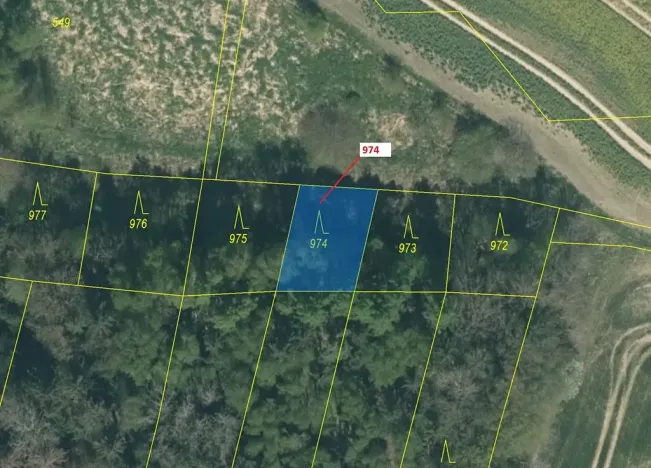 Dražba lesa, Vesce, 260 m2