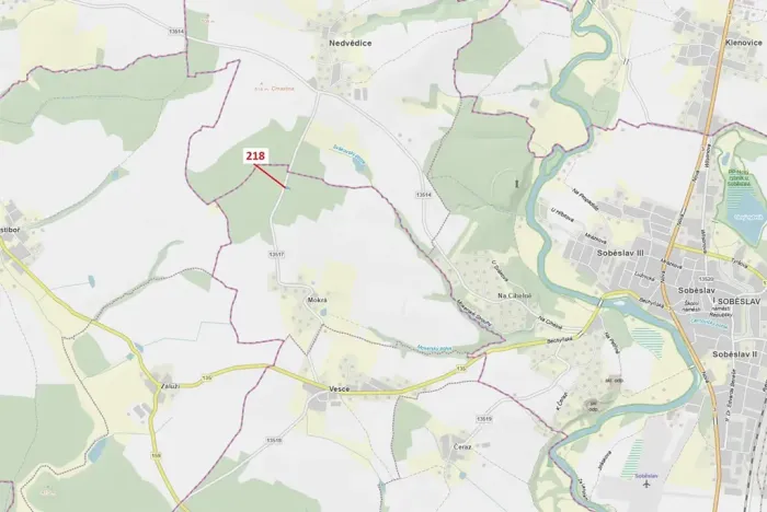 Dražba lesa, Vesce, 682 m2