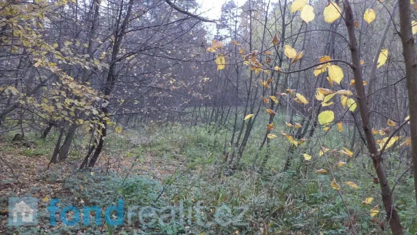 Prodej pozemku, Český Těšín, 3946 m2