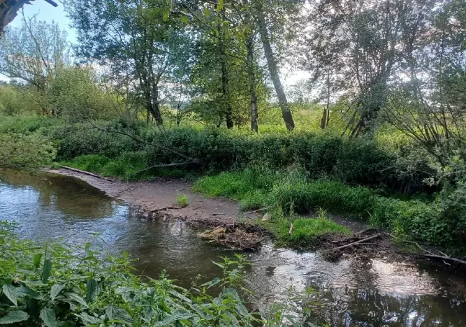 Dražba pozemku, Mimoň, 11189 m2