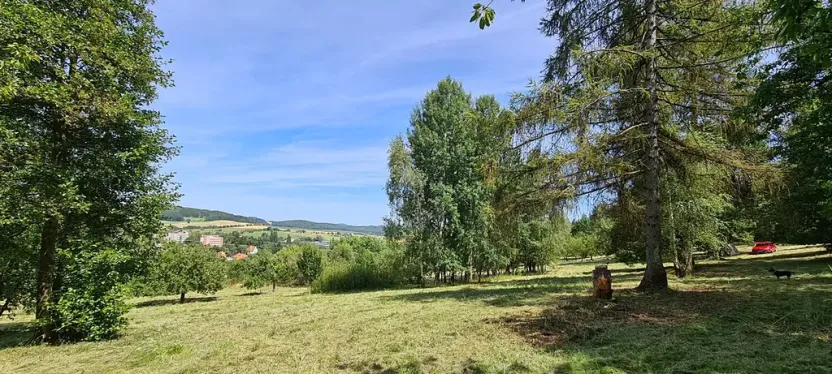 Prodej pozemku pro bydlení, Vlachovo Březí, 16463 m2