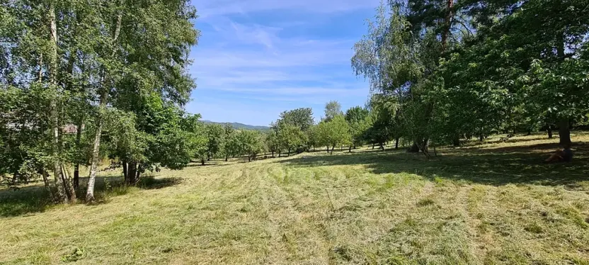 Prodej pozemku pro bydlení, Vlachovo Březí, 16463 m2