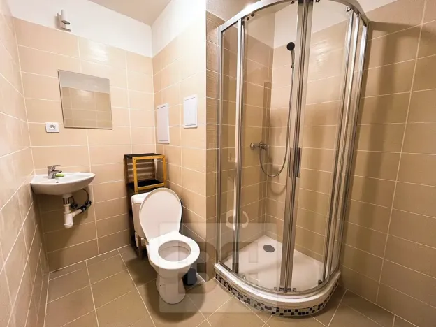 Pronájem bytu 1+1, Karlovy Vary, Koptova, 55 m2