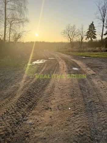 Prodej lesa, Jistebník, 5452 m2