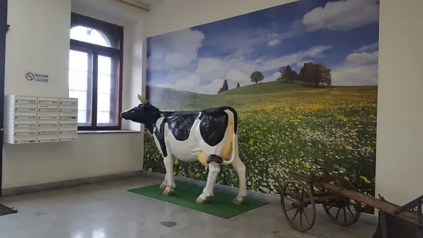 Pronájem kanceláře, Praha - Nové Město, Hybernská, 17 m2