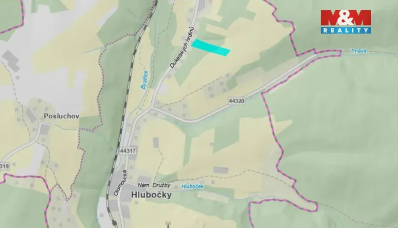 Prodej lesa, Hlubočky, 5070 m2