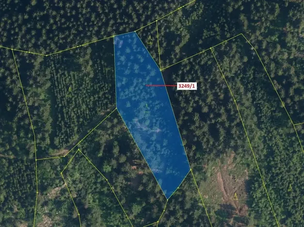 Dražba lesa, Velké Hamry, 5995 m2