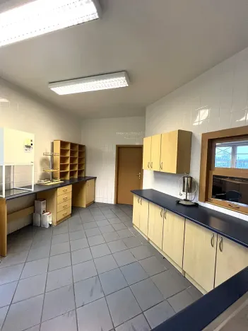 Pronájem obchodního prostoru, Český Těšín, Frýdecká, 160 m2