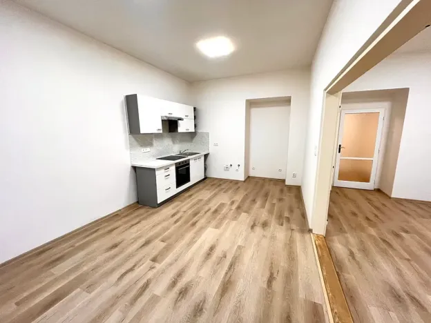 Pronájem bytu 2+1, Praha - Žižkov, Zelenky-Hajského, 70 m2