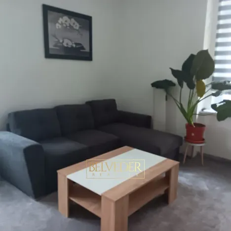 Pronájem bytu 1+1, Teplice, Americká, 38 m2