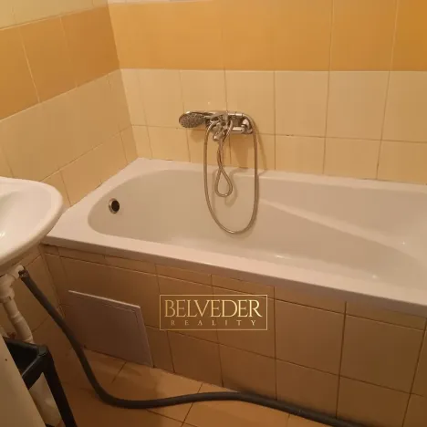 Pronájem bytu 1+1, Teplice, Americká, 38 m2