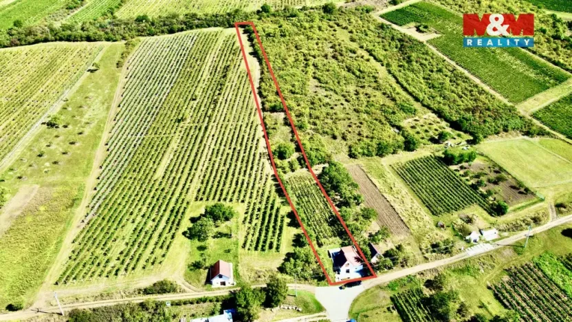 Prodej vinného sklepa, Perná, 31 m2