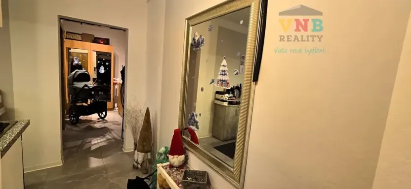 Prodej bytu 2+1, Prostějov, Jana Zrzavého, 56 m2