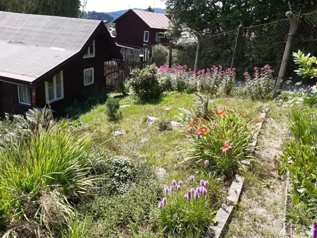 Prodej zahrady, Desná, Sokolská, 775 m2