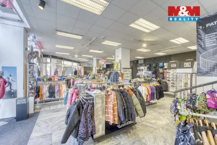 Pronájem obchodního prostoru, Plzeň - Vnitřní Město, Zbrojnická, 598 m2