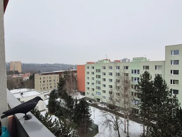 Prodej bytu 2+1, Brno, Ostružinová, 46 m2